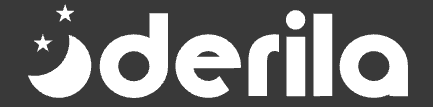 Derila Ergo Kissen